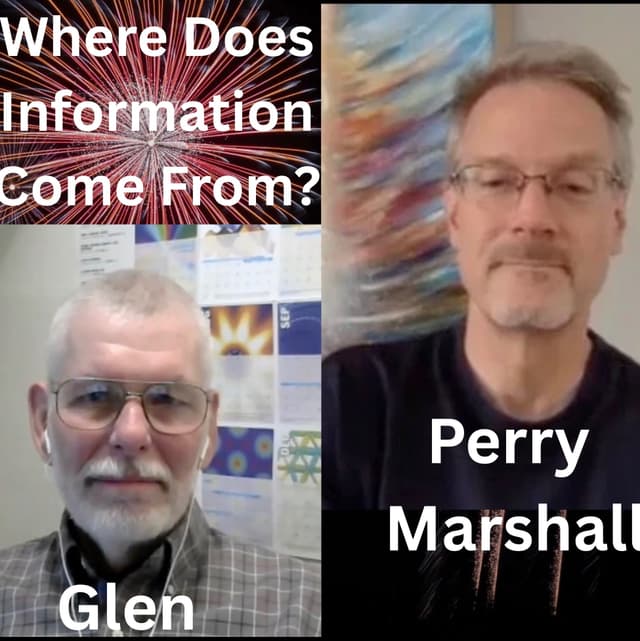 Information about a Physical System is a Record of Choices Made in the Past