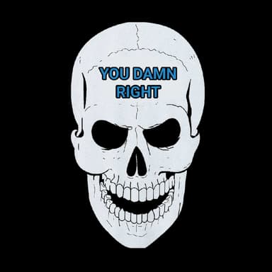 YOU DAMN RIGHT / THE 3 FROM HELL