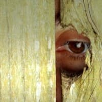 LF144 Bernardo Kastrup – Brief Peeks Beyond: Part Two