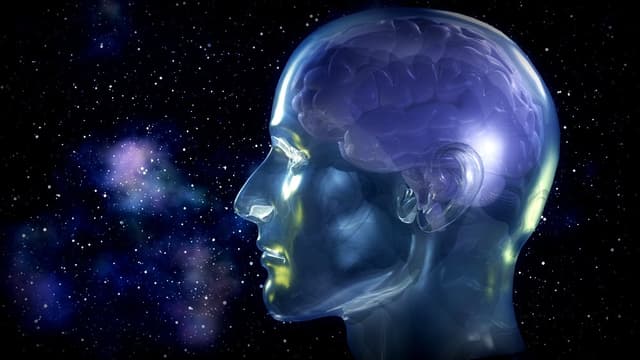 LF133 Reece Girven - The Universe and The Psyche