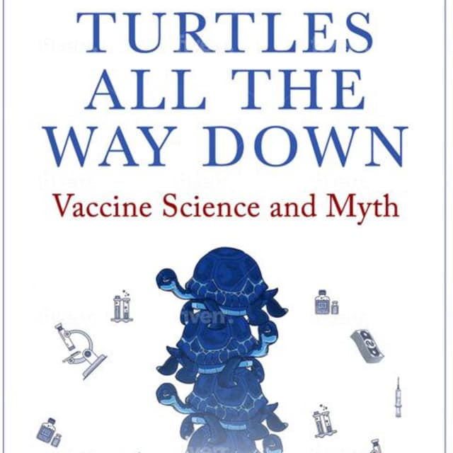 Turtles All The Way Down: A Summary of Insightful Themes