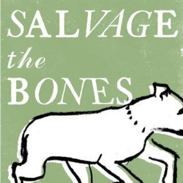Salvage the Bones: An Engaging Audio Summary of Jesmyn Ward's Masterpiece