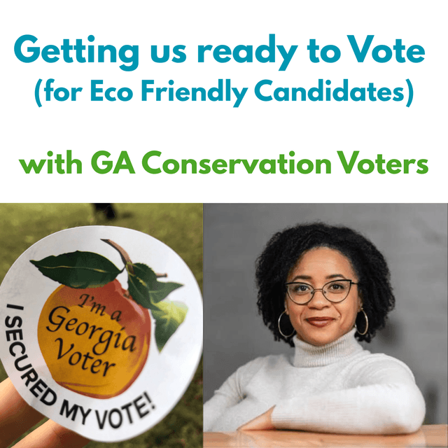 Talking Eco Friendly Candidates & Easy Voting this Midterm: GA Conservation Voters' Brionte McCorkle