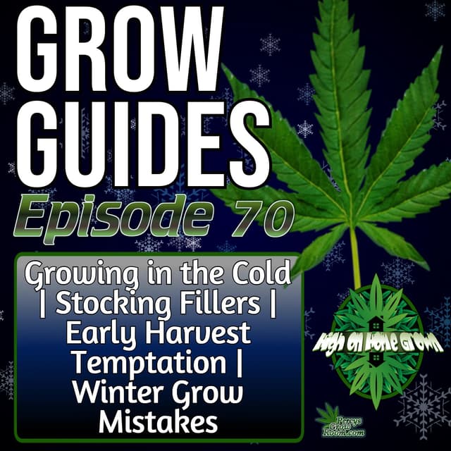 Winter Growing Survival Guide, Smart Grower Gift Ideas, Early Harvest Mistakes & Christmas Grow Disasters to Avoid | Grow Guides Ep. 70
