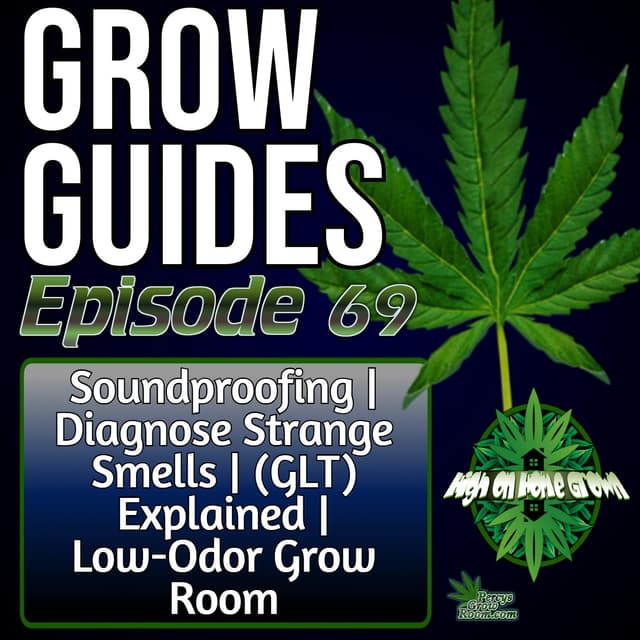 How to Soundproof Your Grow, Fix Strange Smells, Master the Gas Lantern Technique & Build a Low-Odor Setup on a Budget | Grow Guides Ep. 69