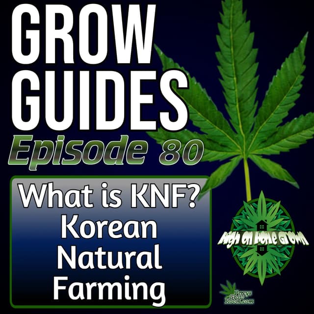 Korean Natural Farming & JADAM Explained – FPJ, JMS & Natural Pest Control Made Simple | Grow Guides Ep. 80