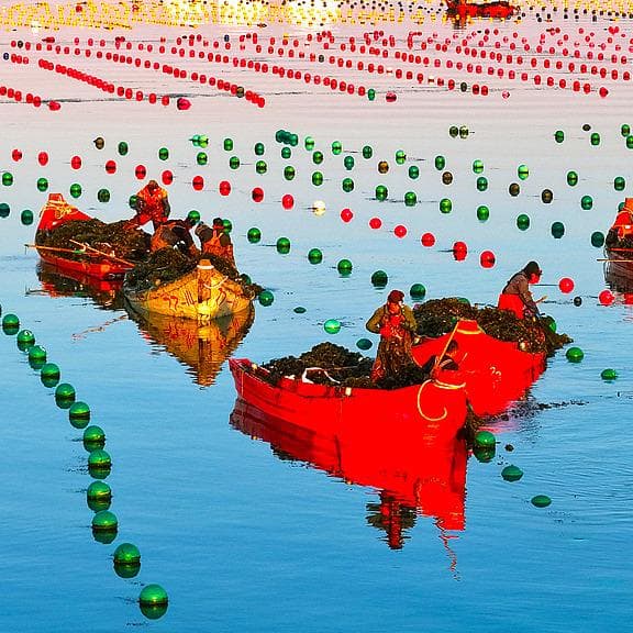China's ocean economy at a turning point