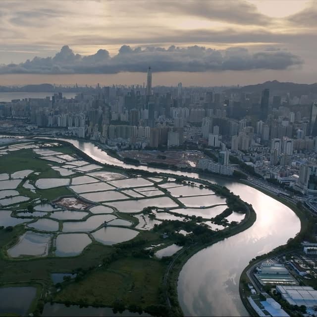 Panel: HK's five-year plan, beyond the Western narrative