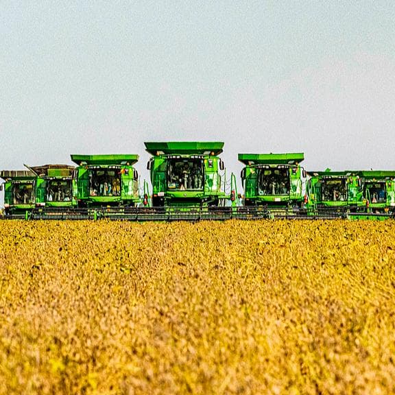 Global conflicts, extreme weather: How secure is China's food supply?