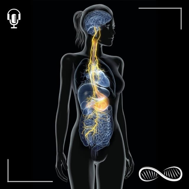 The Gut-Brain Connection Is Weirder Than You Think: Biohacking the second mind, personality architecting & brain as "PR Department" 🎙️ Interview with Gabe Dough of Good Bru