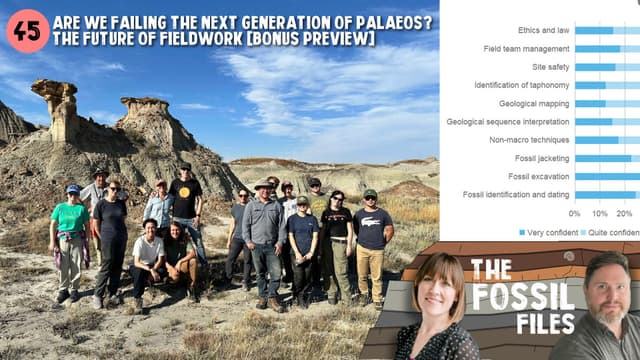 Are we failing the next generation of palaeontologists? The future of fieldwork [Bonus Preview]