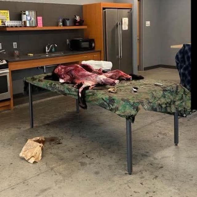 Butchering a Legally Hunted Bear in a Communal Residence Hall Kitchen
