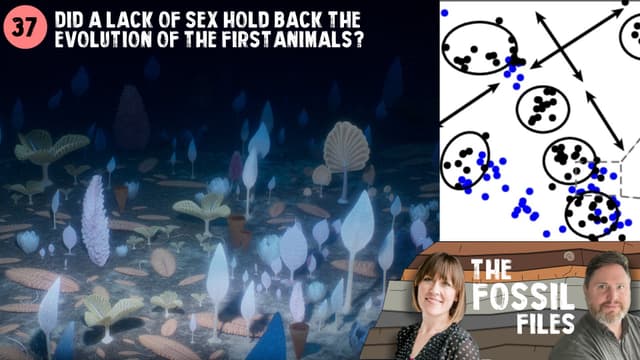 Did a lack of sex hold back the evolution of the first animals?