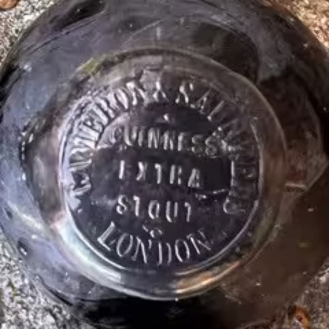 A Bottle of Guinness From a 162-Year-Old Shipwreck