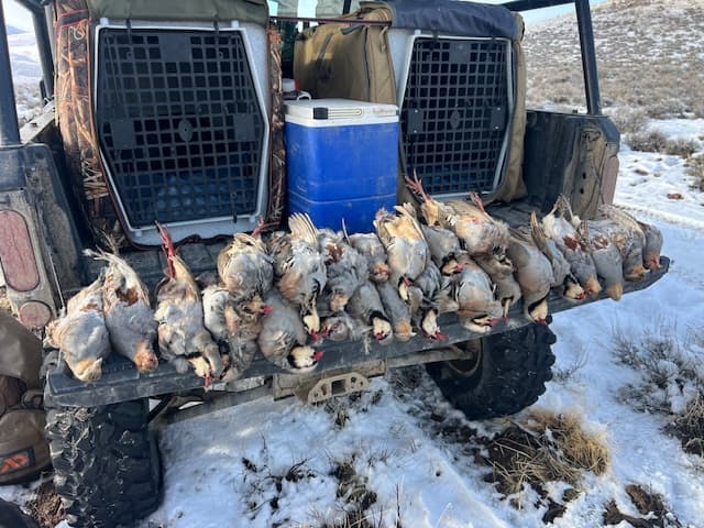 The Best Hunt of My Life! with Ryan and Jace Newmarker