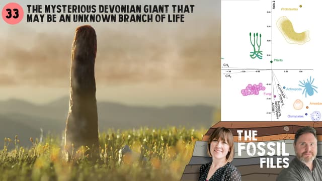 The Mysterious Devonian Giant that may be an unknown branch of life