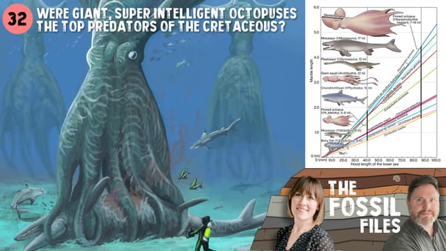 Were giant super intelligent octopuses the top predators of the Cretaceous?