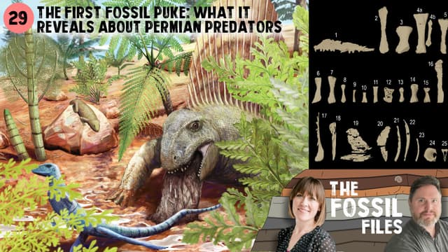 The First Fossil Puke: What It Reveals About Permian Predators