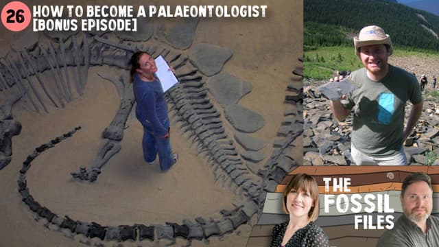 How to become a palaeontologist [Preview]