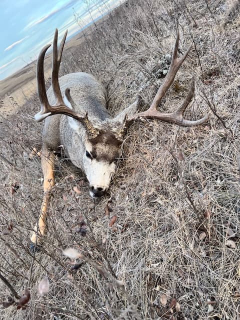 BIrds, Booze, and Buds with Bray Meyer
