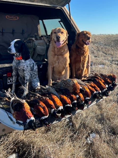 Birds Dogs Keep Us Humble with Final Rise and Gun Dog Grind