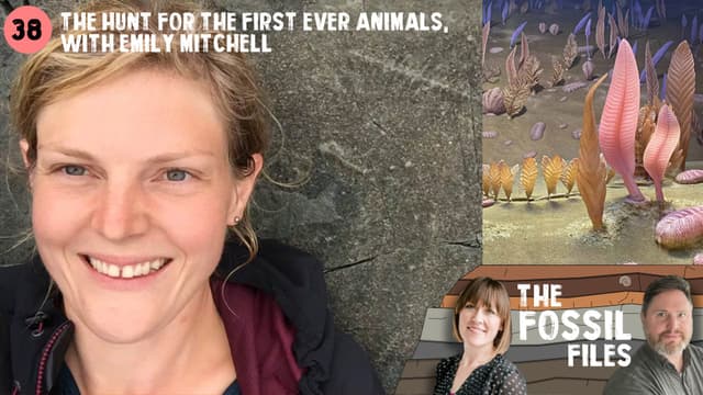 The hunt for the first-ever animals, with Emily Mitchell