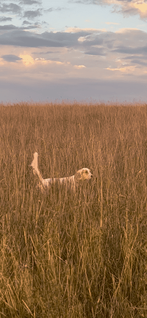 Montana Opener with Lars Anderson and Crispi USA