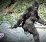 BIGFOOT: THE SCIENCE BEHIND THE SEARCH