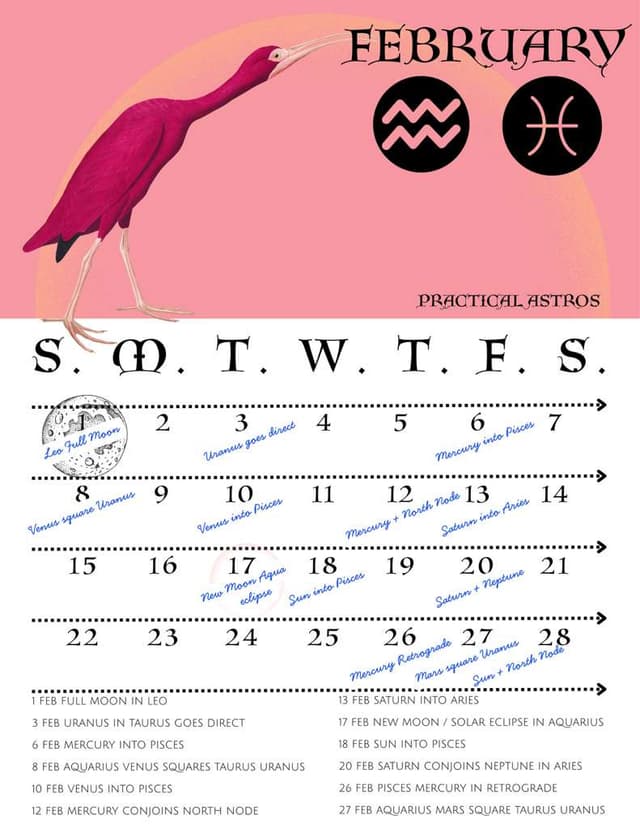 Astrology Weekly Forecast ✨ 4th - 11th February 2026