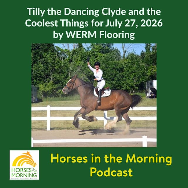 Tilly the Dancing Clyde and the Coolest Things for July 27, 2026 by WERM Flooring