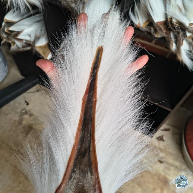 Frosty Mornings and Musky Pursuits: January Fishing Insights with Ellis Ward