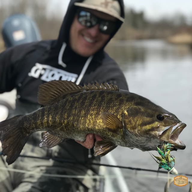 A Deep Dive into the Swingin' D: Techniques and Tips with Mike Schultz