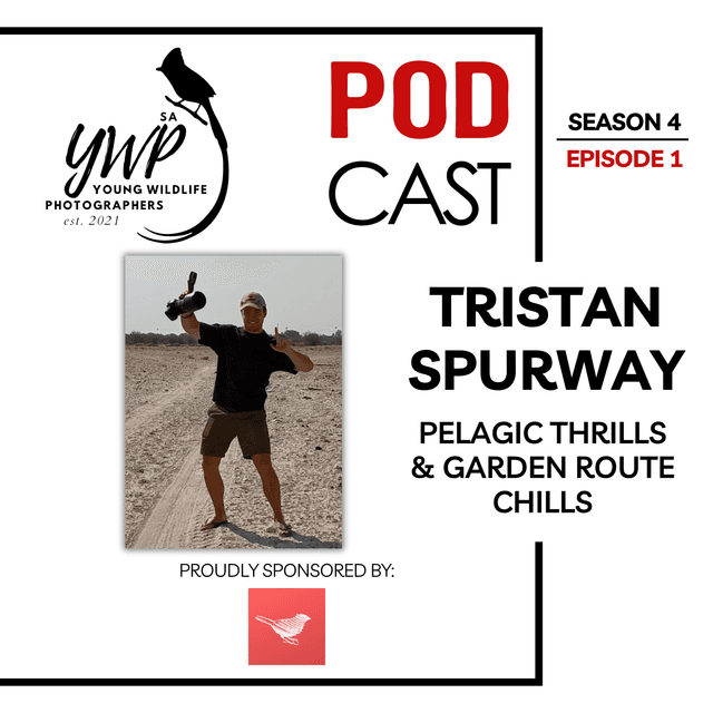 YWP Podcast - Season 4 Episode 1 - Pelagic Thrills & Garden Route Chills with Tristan Spurway