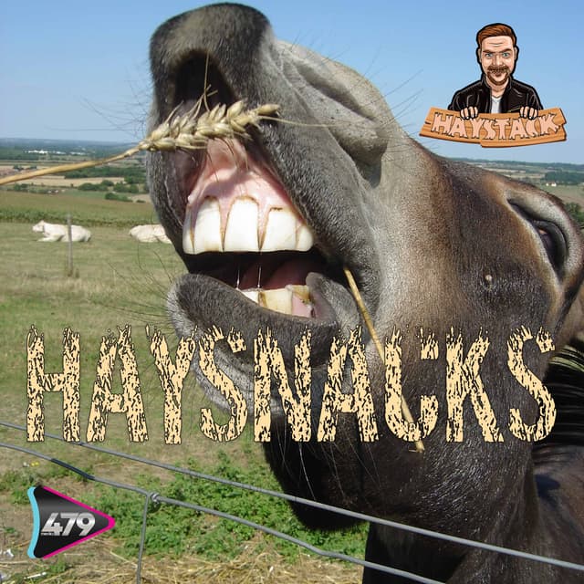 Haysnacks