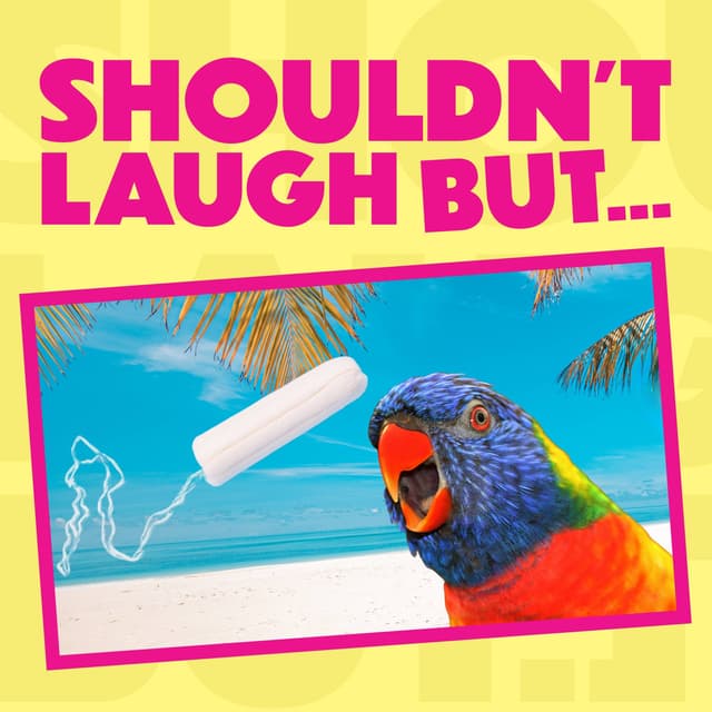 A Parrot Mugging & a Tampon Poo