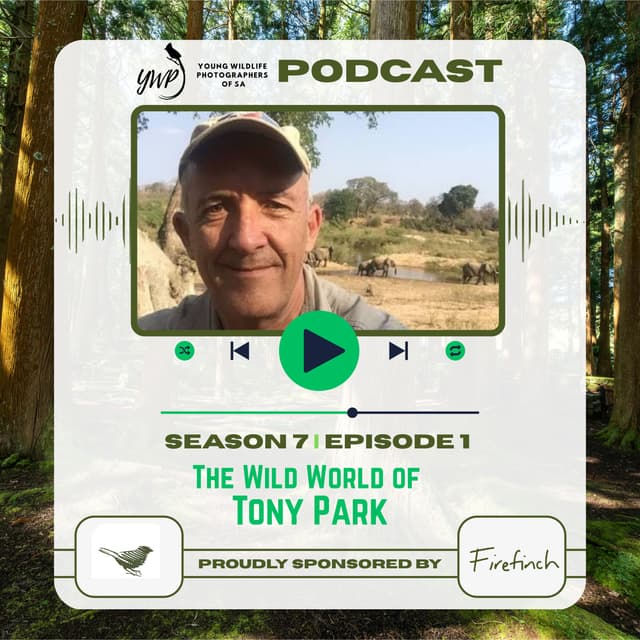 YWP Podcast - Season 7 Episode 1 - The Wild World of Tony Park
