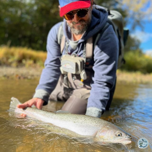 From Tattoo to Trout: Aaron Chine's Dual Passion for Art and Steelhead Guiding