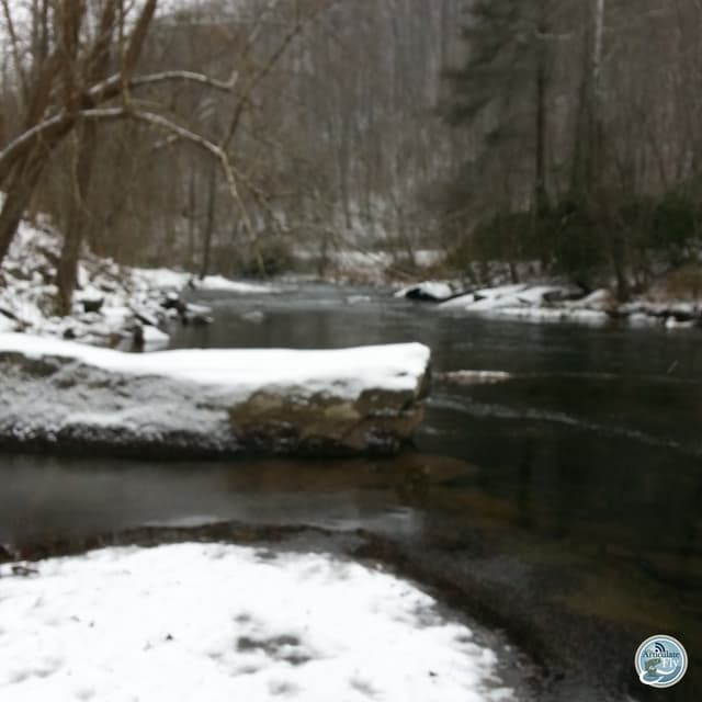 Layer Up and Fish On: Mac Brown's Guide to Winter Fishing Comfort
