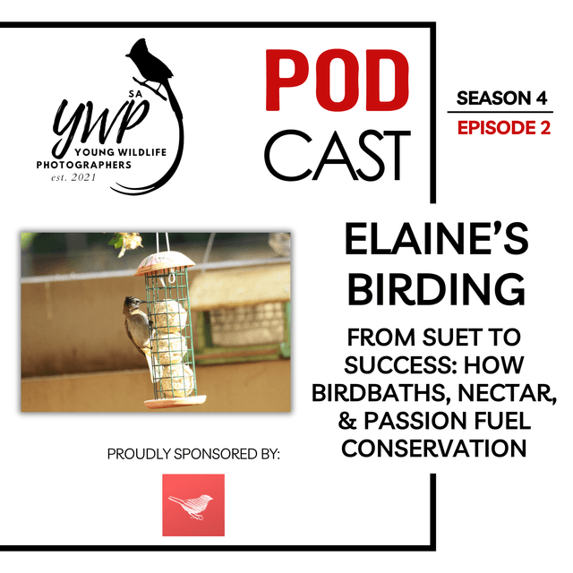 YWP Podcast - Season 4 Episode 2 - From suet to success, the Elaine’s Birding story