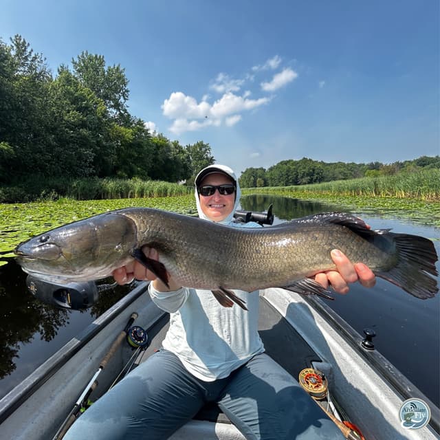 Essential Patterns: Drew Price Talks Favorite Flies for Vermont