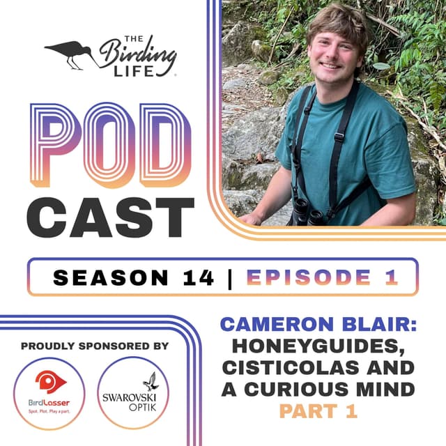 TBL Podcast - Season 14 Episode 1 - Cameron Blair. Honeyguides, Cisticolas and a Curious Mind. Part 1