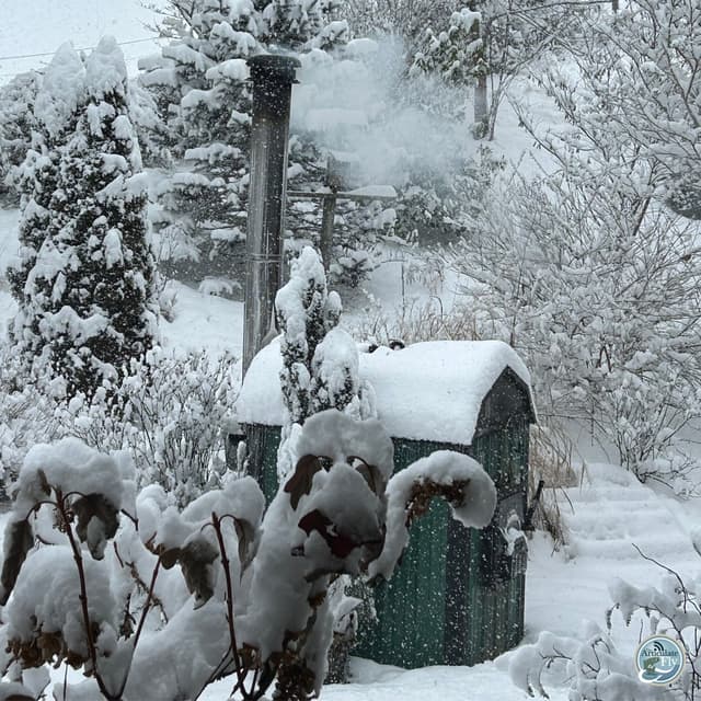 Gear Up for Spring: Winter Maintenance Tips with Mac Brown