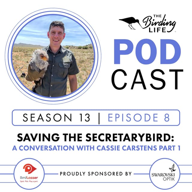 TBL Podcast - Season 13 Episode 8 - Saving the Secretarybird: A Conversation with Cassie Carstens Pt 1