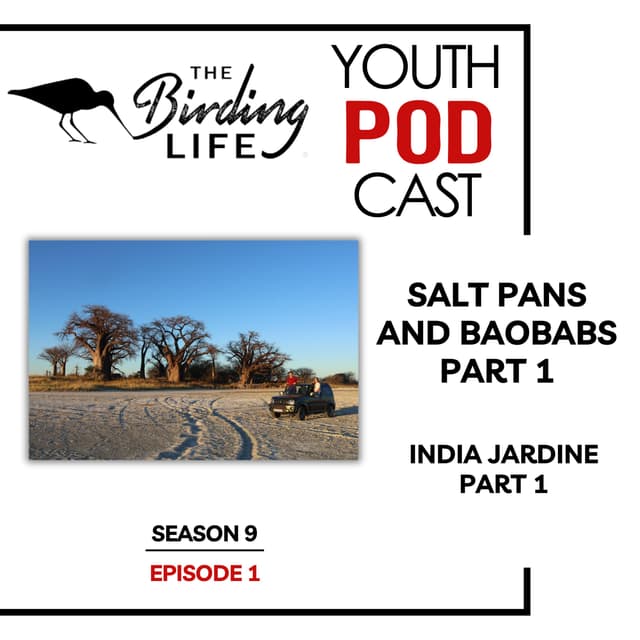 TBL Youth Podcast - Season 9 Episode 1 - Salt Pans and Baobabs Part 1: India Jardine