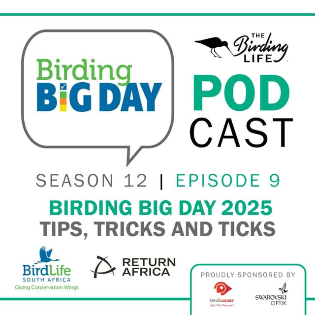 TBL Podcast Season 12 Episode 9 - Birding Big Day 2025 - Tips, tricks and ticks