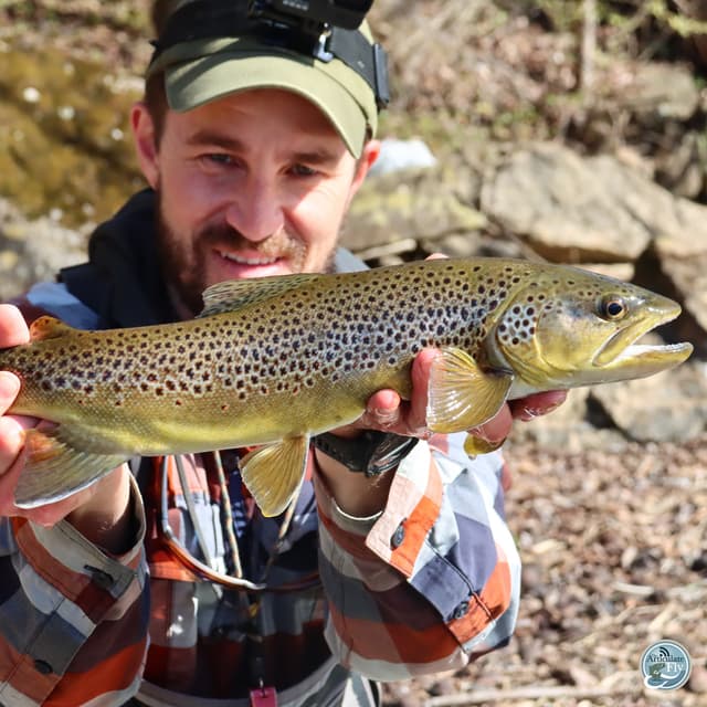 Flows and Focus: Navigating Spring Fishing in East Tennessee with Ellis Ward