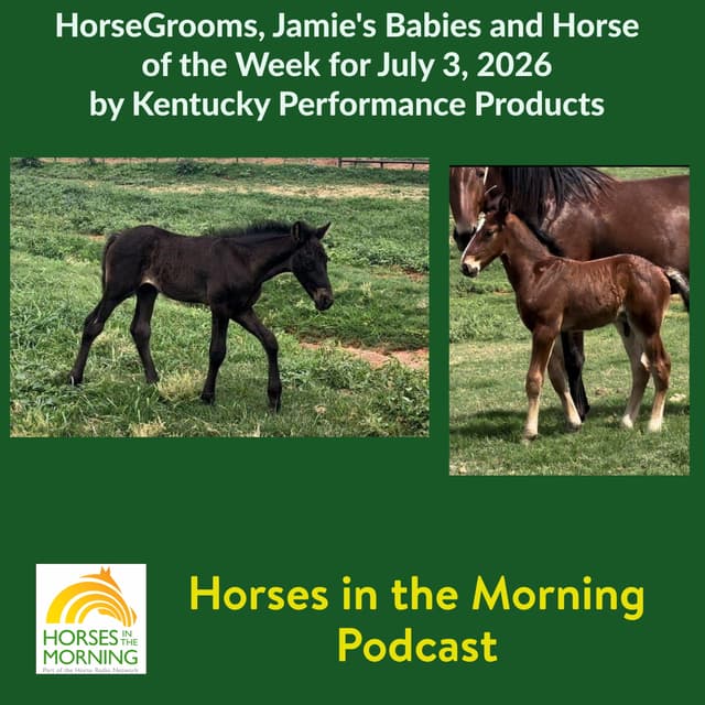 HorseGrooms, Jamie's Babies and Horse of the Week for July 3, 2026 by Kentucky Performance Products