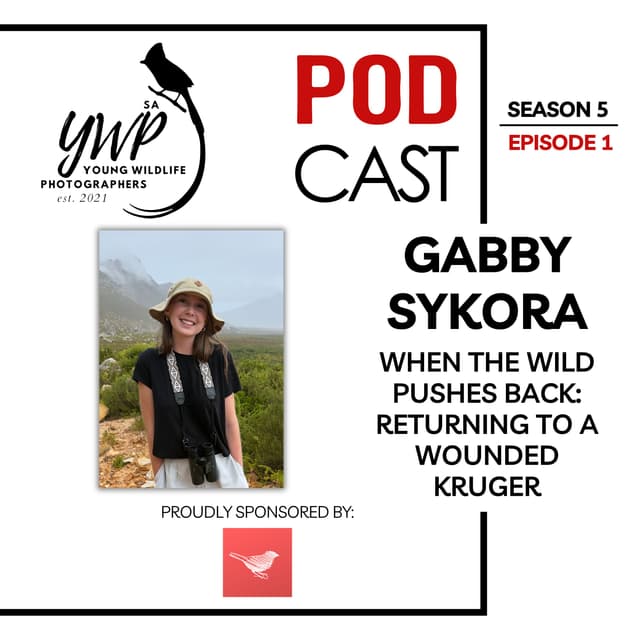YWP Podcast Season 5 Episode 1 - When the Wild Pushes Back: Returning to a Wounded Kruger