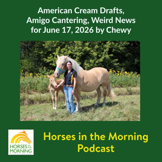 American Cream Drafts, Amigo Cantering, Weird News for June 17, 2026 by Chewy