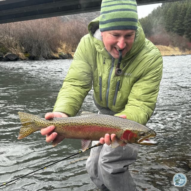 Show Season Strategies: Mac Brown on Learning vs. Entertainment in Fly Fishing